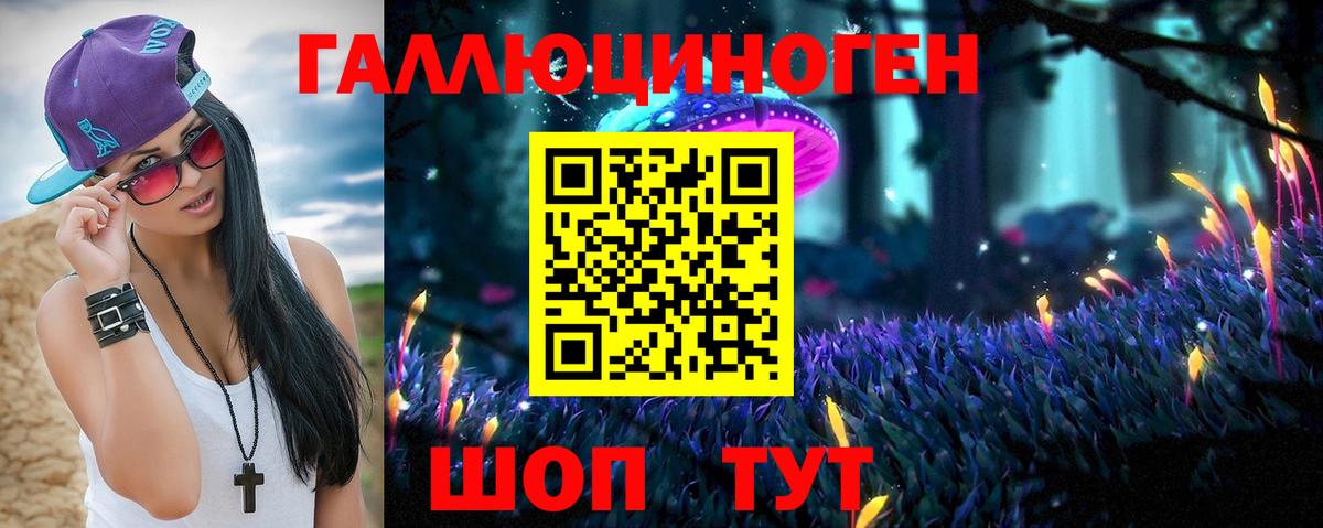 Галлюциногенные грибы Psilocybe  Галлюциногенные грибы прущие грибы  Вход с VPN  Дербент 